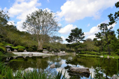 botanical-garden-2834180_1280